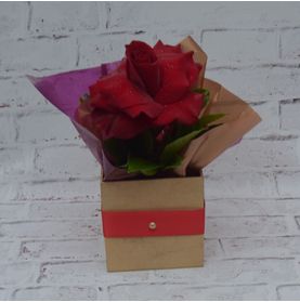Caixa com Rosa Colombiana Vermelha para Presentear Minha Mãe