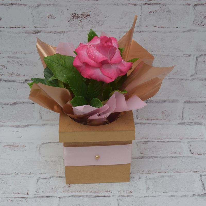 caixa-com-rosa-colombiana-pink-para-presentear-minha-mae-1.jpg