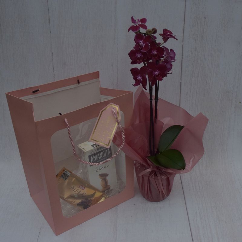 kit-de-bom-gosto-com-mini-orquidea-e-chocolate-para-a-mamae-1.jpg