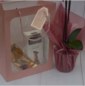 Kit de Bom Gosto com Mini Orquidea e Chocolate para a Mamãe