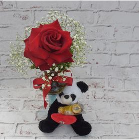 Kit Amoroso de Rosa Colombiana com Urso Panda e Bombom Raffaello