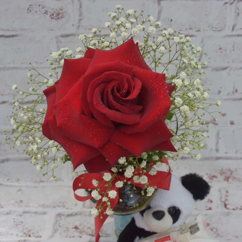 kit-amoroso-de-rosa-colombiana-com-urso-panda-e-bombom-raffaello-4