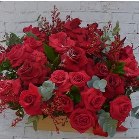 Arranjo com 36 Rosas Colombianas Amor para Brigite