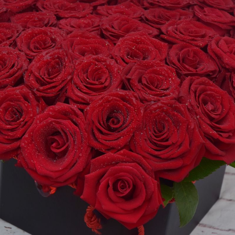 arranjo-com-50-rosas-colombianas-para-conquistar-uma-mulher-4